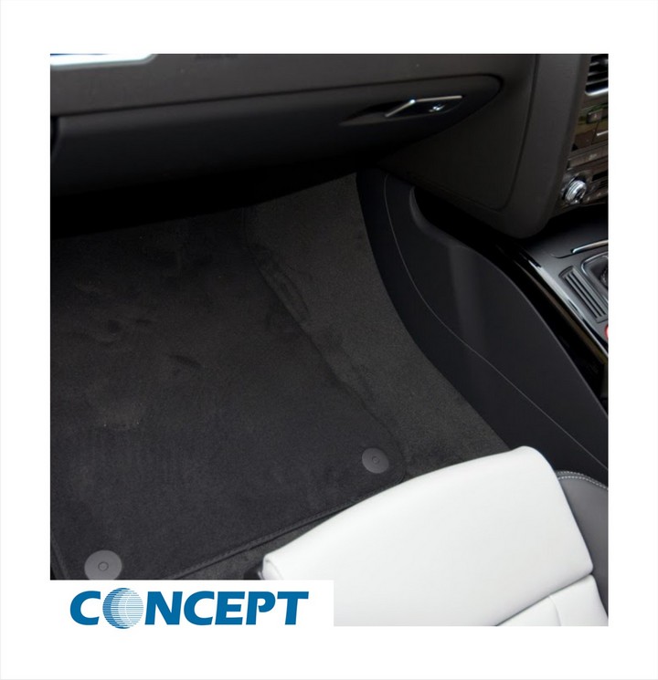 Fabric Black Dye (5ltr) Concept